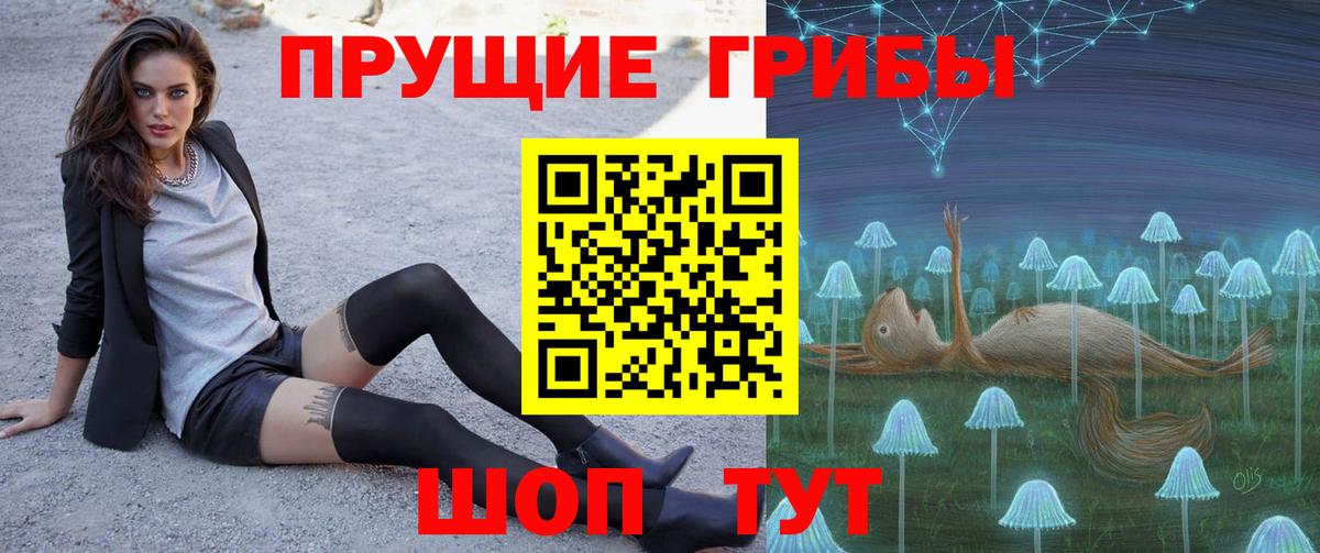 Галлюциногенные грибы Psilocybe  Вход с VPN  Туапсе 